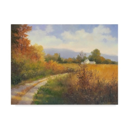 Mary Jean Weber 'Autumn Country Road' Canvas Art,18x24